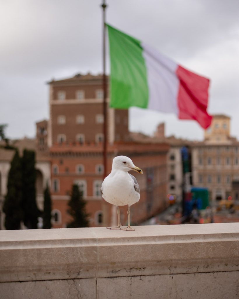 flaga Włoch, mewa w Rzymie