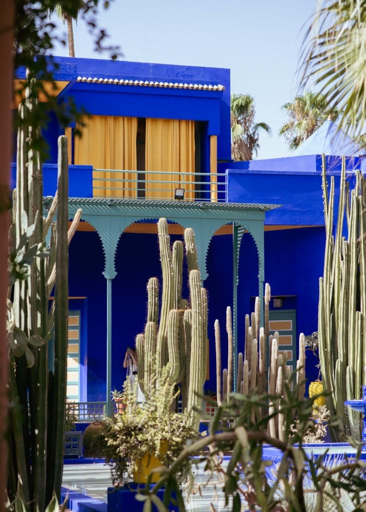 Ogrody Majorelle Jardin Majorelle